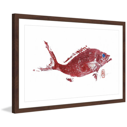 "Red Snapper 2" Framed Painting Print